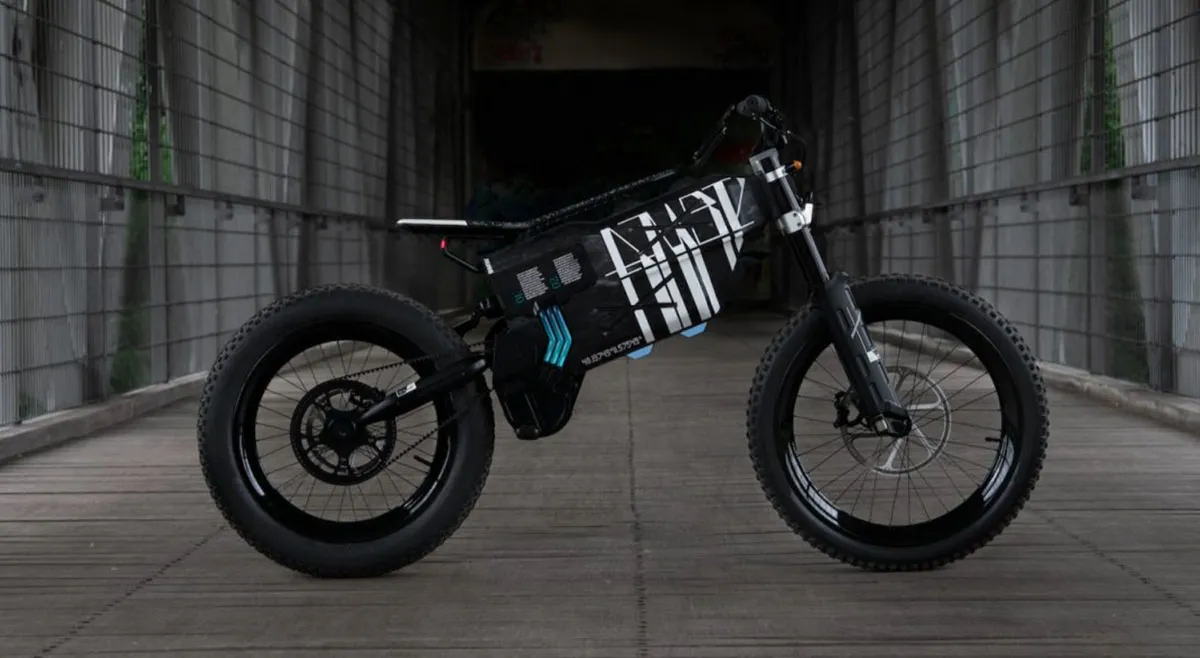 bici-bmw2.jpg