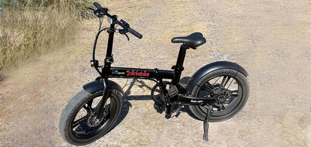 biciclet-electrica.jpg