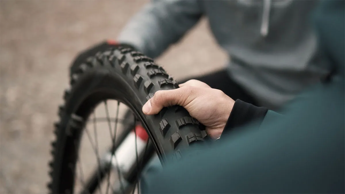 pirelli-bike.jpg