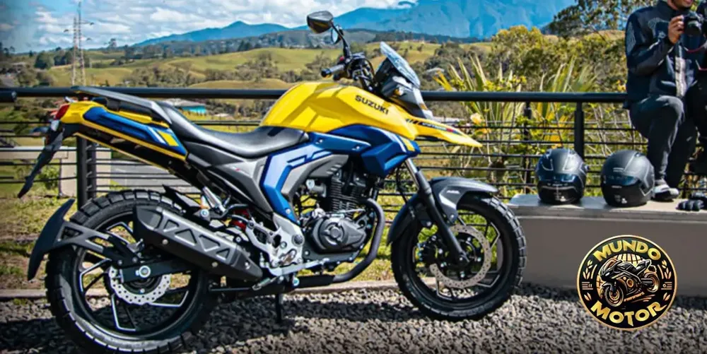 suzuki.jpg