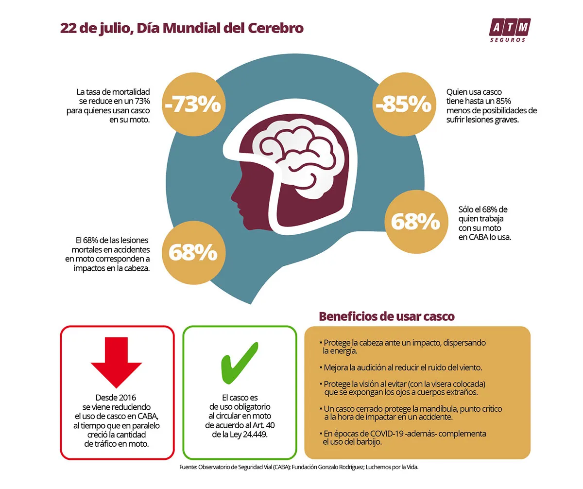 cerebro.jpg